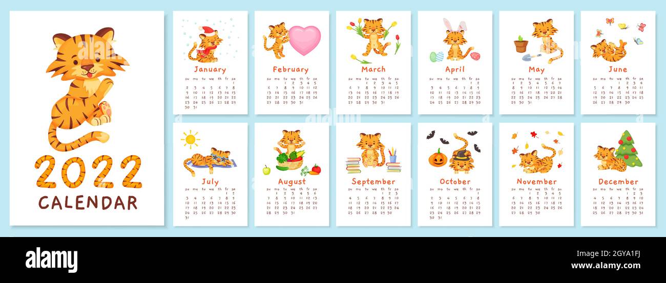 Cute tigers 2022 calendar, chinese new year tiger symbol. Cartoon happy  baby animal characters in different months planner Vector template.  Adorable feline cubs seasonal printable pages Stock Vector Image & Art -  Alamy