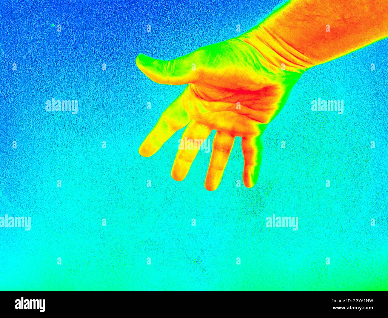 Thermal image recordings of temperature differences in infrared light Stock Photo