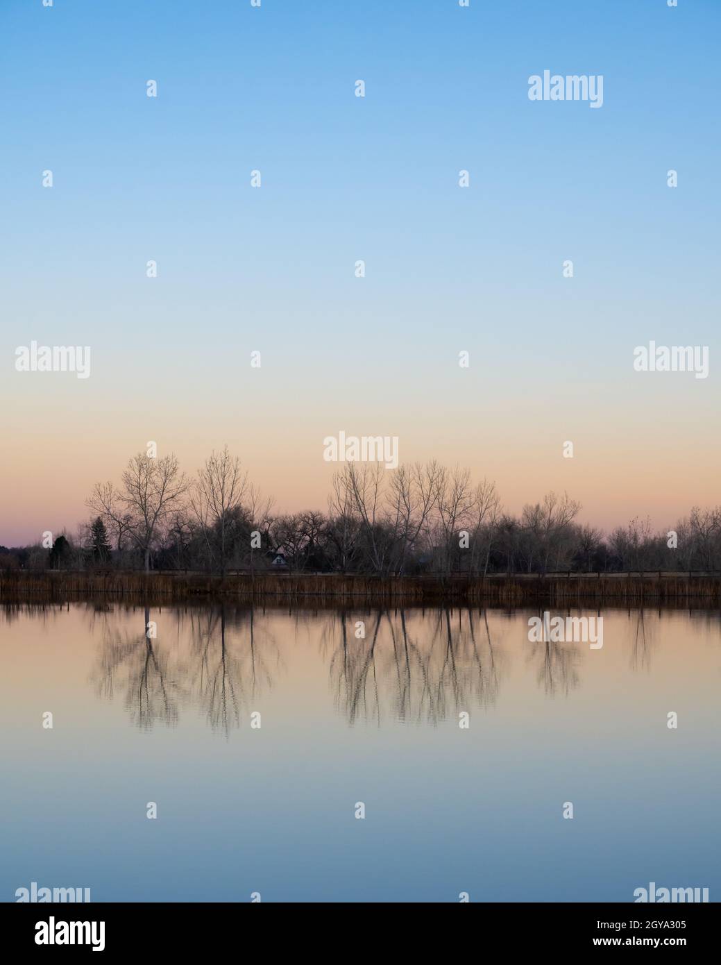 Trees and a blue sky reflect off a still pond. A orange and pink glow on the horizon from air polution lingers after sunset. Stock Photo