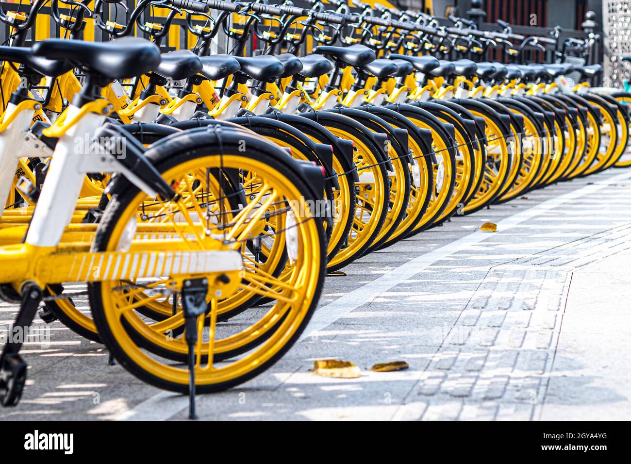 Chinese rental bikes sale