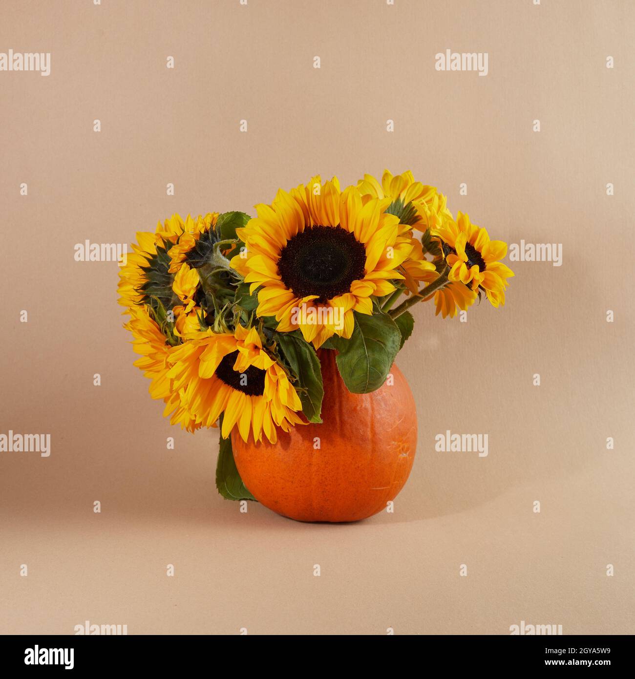 bright autumn flowers composition in a pumpkin vase Stock Photo - Alamy