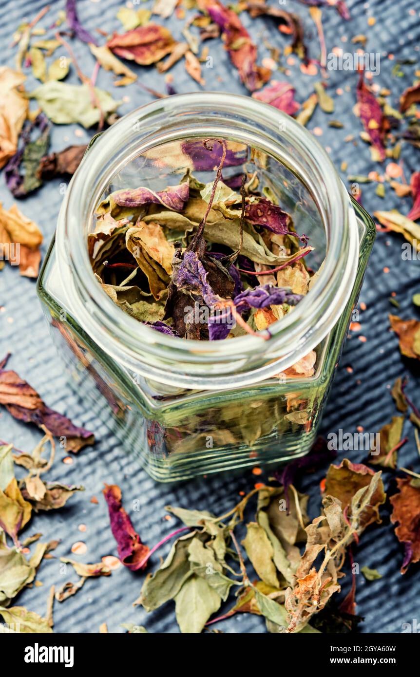 Dried natural basil spice.Dried basil leaves herbs.Seasoning.Spice in