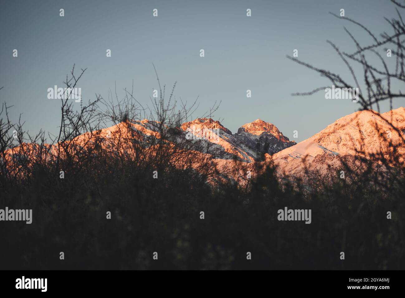 argentina t shirt 2022