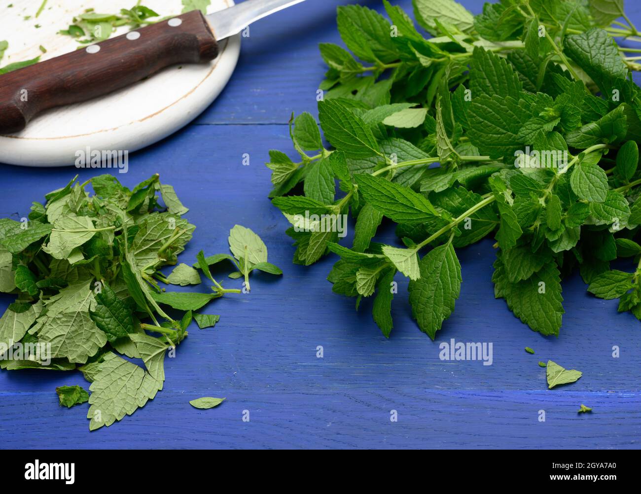 bunch of green mint on a blue wooden  background, fragrant spice for cocktails and desserts, close up Stock Photo