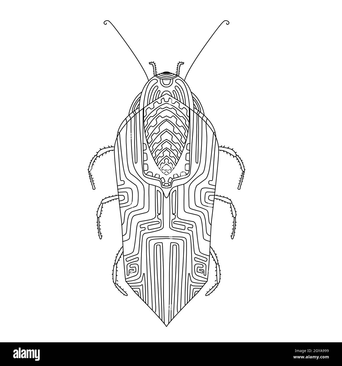 Beautiful mockup for print design. Isolated background. Cute insects ...