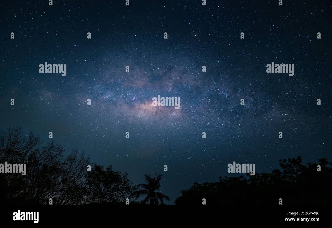 milky way over forest on night Stock Photo - Alamy
