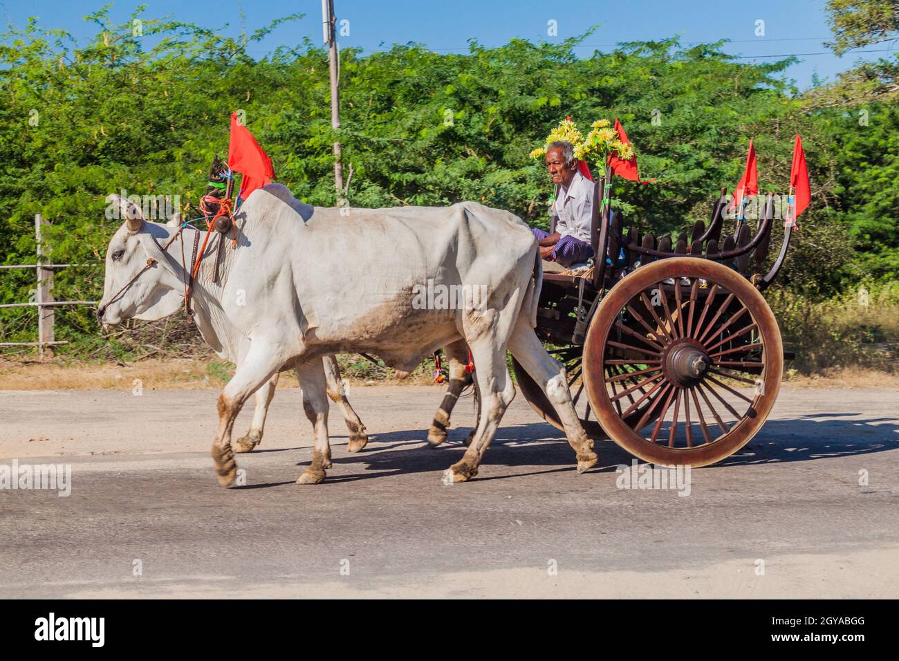 Ox bullock cart farmer hi-res stock photography and images - Page 3 - Alamy