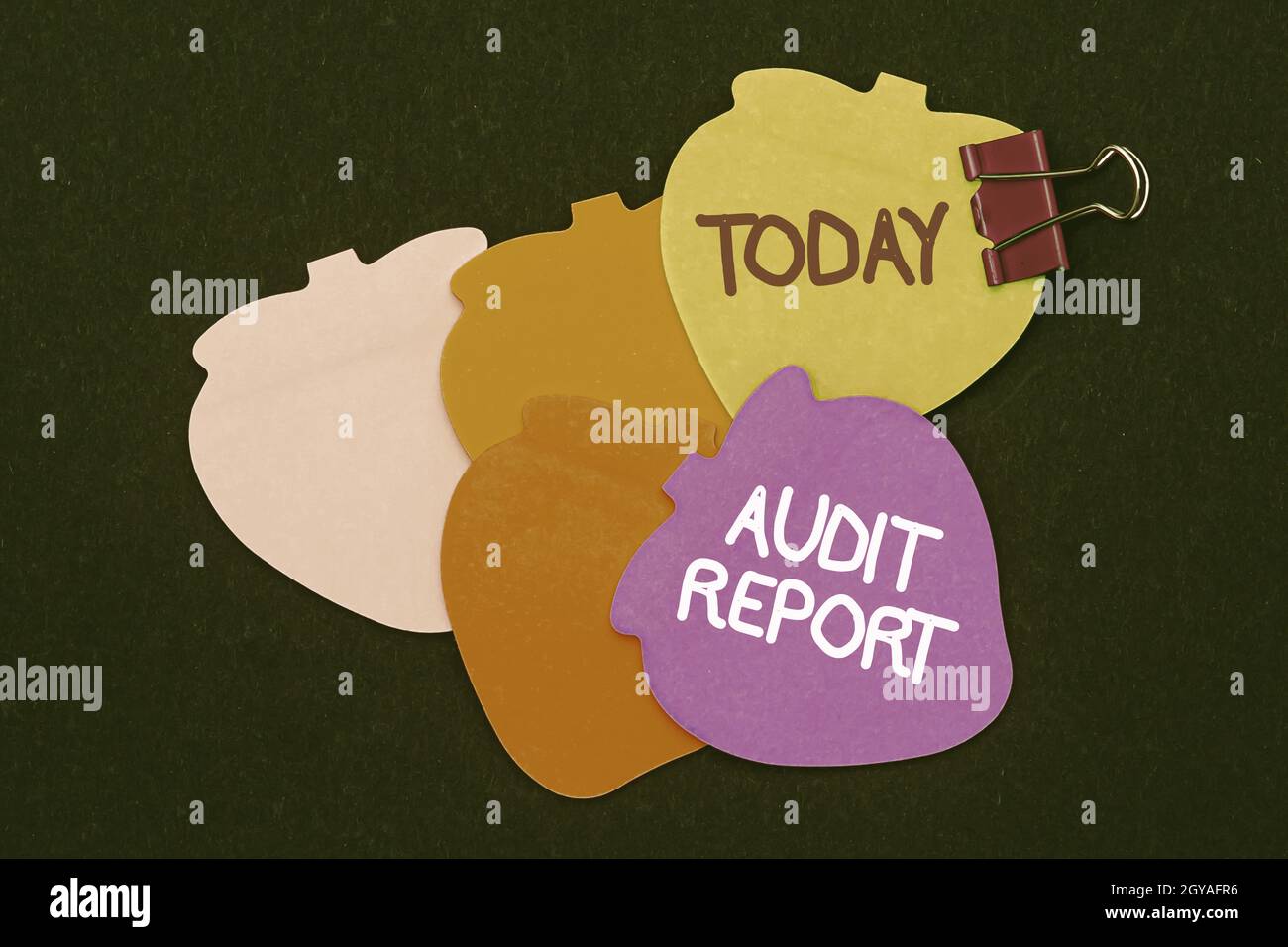 Hand writing sign Audit Report, Business showcase An appraisal of ...