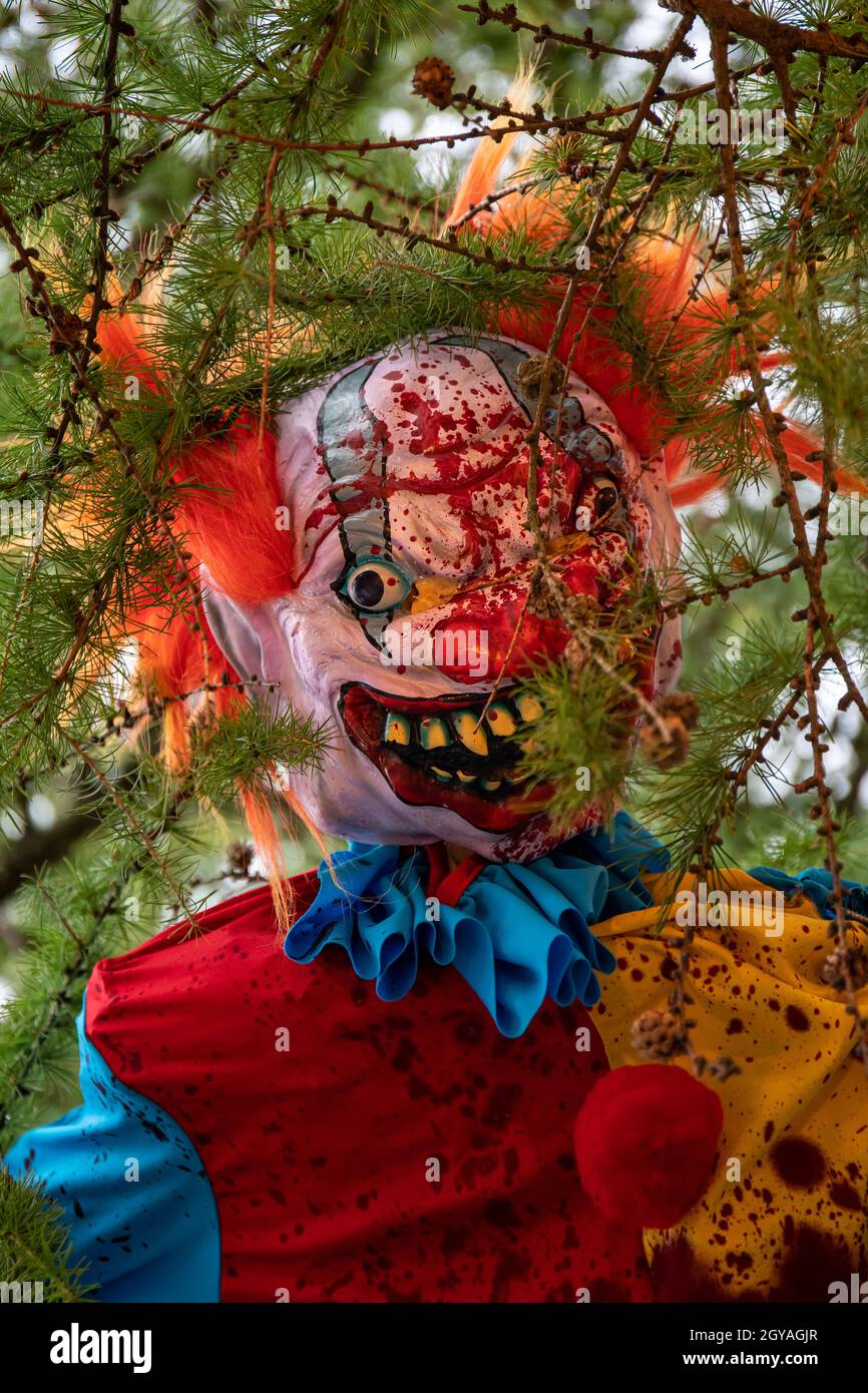 Scary killer clown doll up in the tree Stock Photo