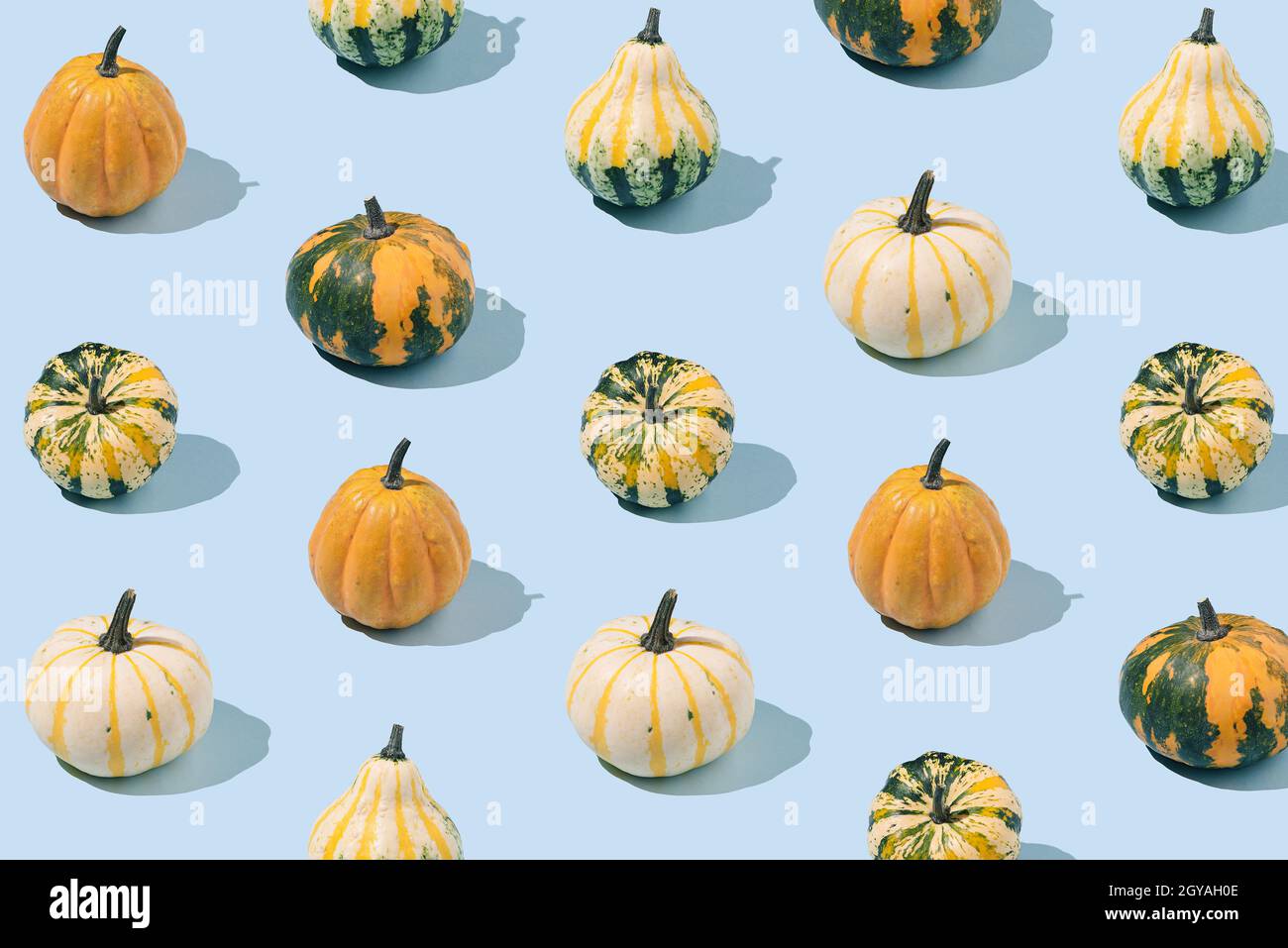 Seamless pattern with decorative pumpkins on a blue background. Autumn, fall, Halloween concept. Isometric layout. Rectangle Stock Photo