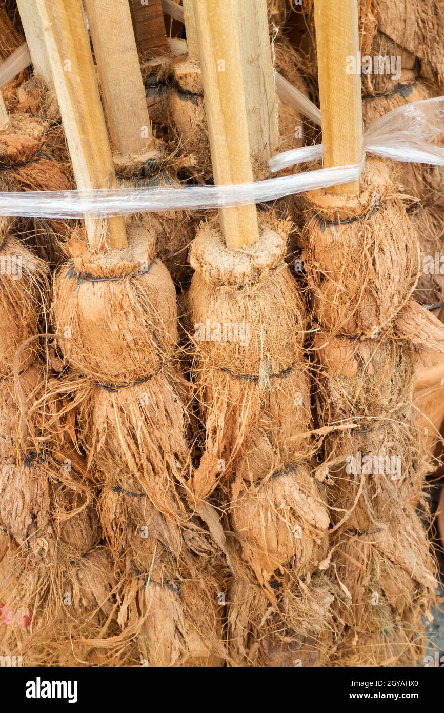 Coconut flakes plant pole for sale, stock photo Stock Photo