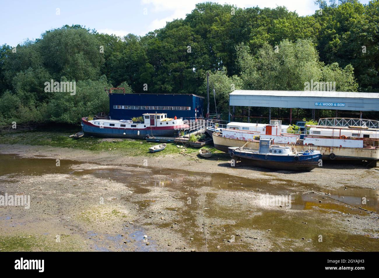 The river Thames in very low water at Isleworth Ait Stock Photo