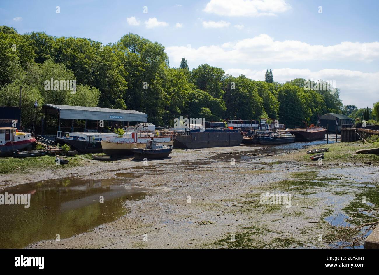 The Wood's boatyard at Isleworth Ait with the river Thames at an extreme low tide looking upstream Stock Photo