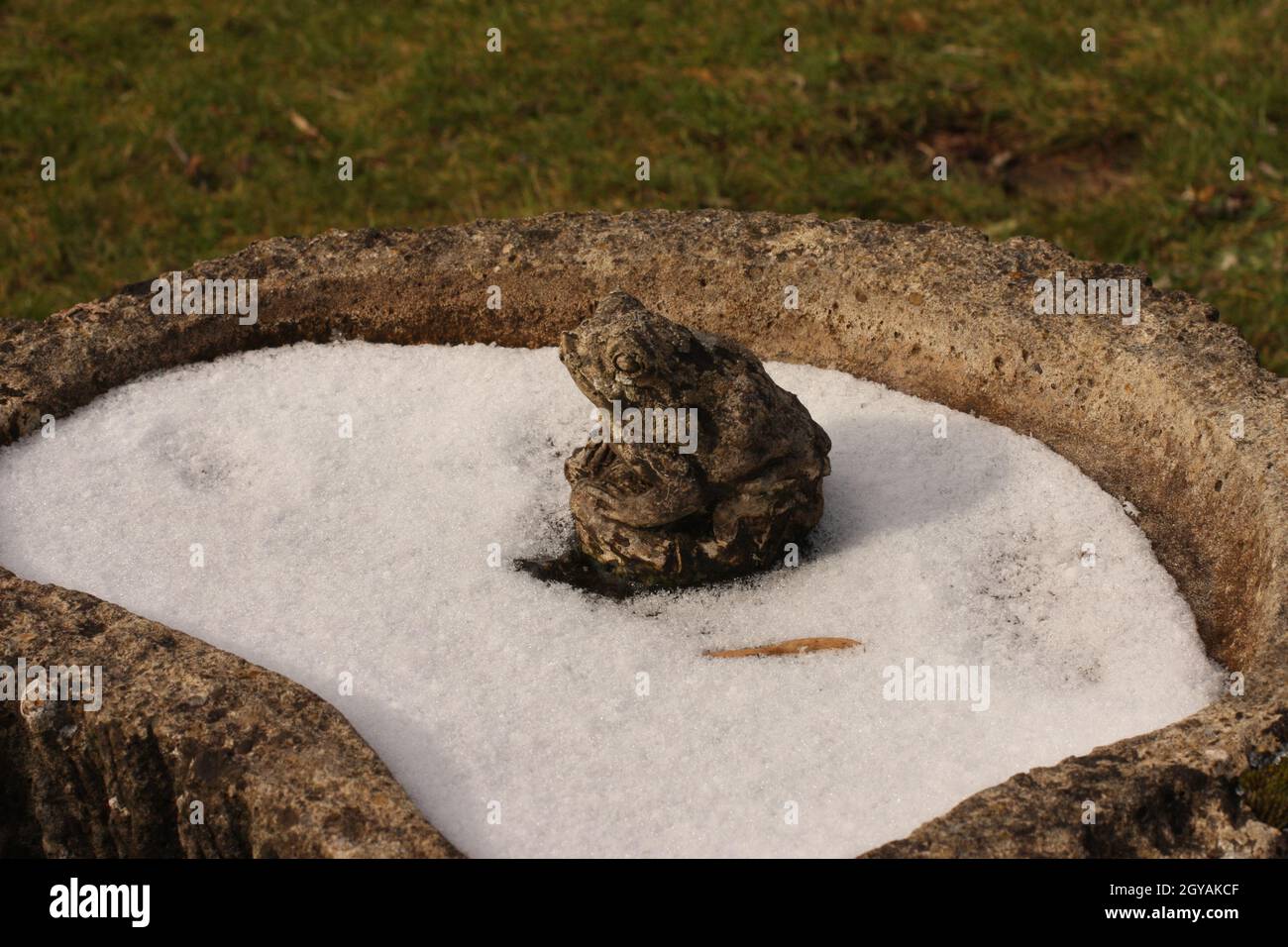 Stone bird basin with stone frog and frozen water, England Stock Photo