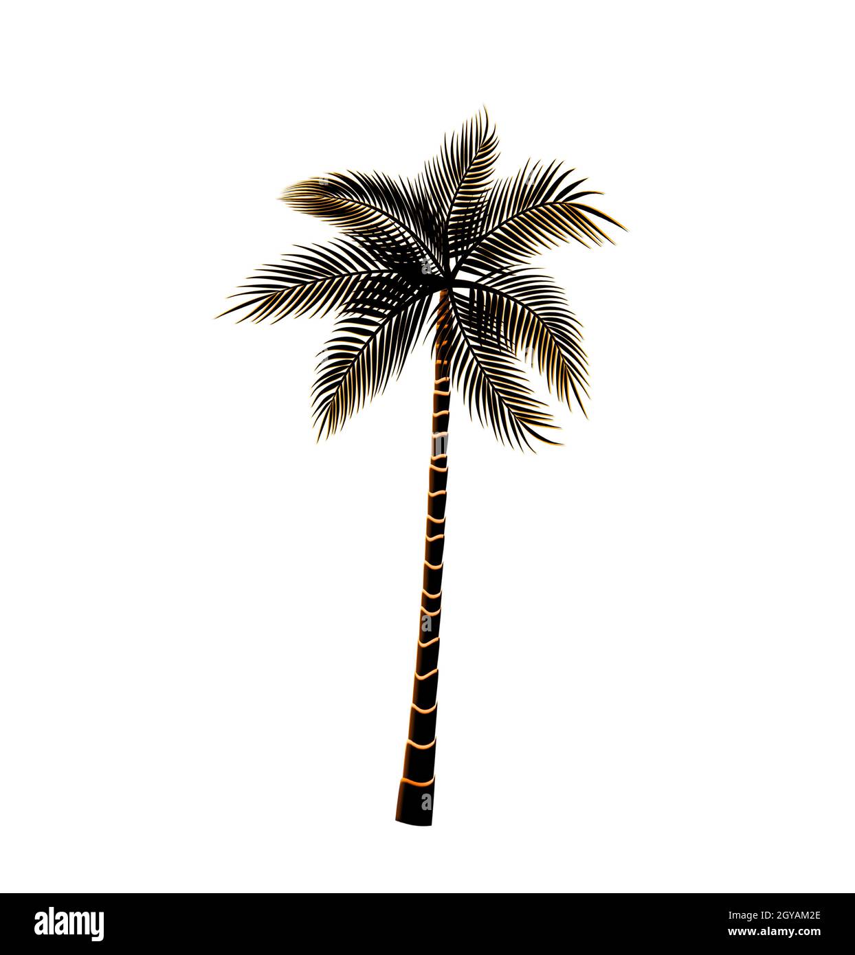 Palm tree isolated on white background illustration Stock Photo - Alamy