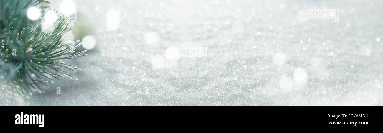 Snow with pine branch and shining bokeh. Horizontal close-up with short depth of field and space for text. Winter and christmas background with soft s Stock Photo