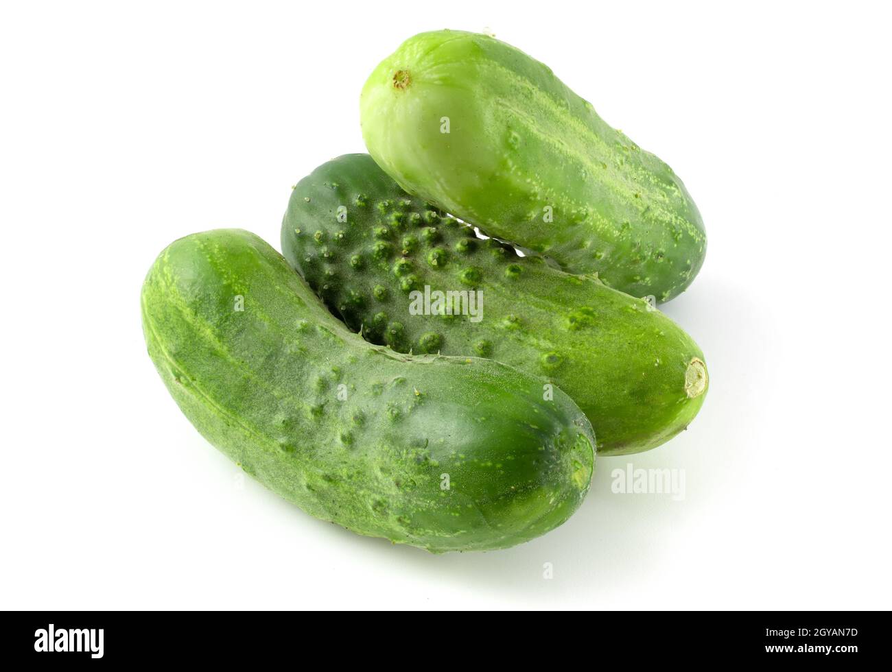 Three fresh cucumbers isolated on white background Stock Photo