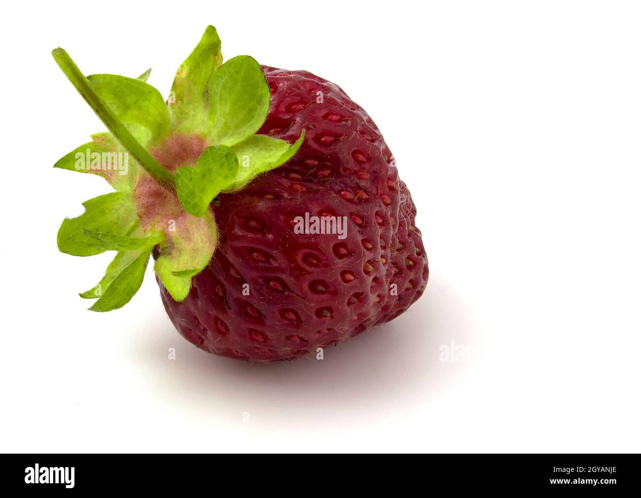 Close up of ripe red strawberries with green leaves isolated on white ...