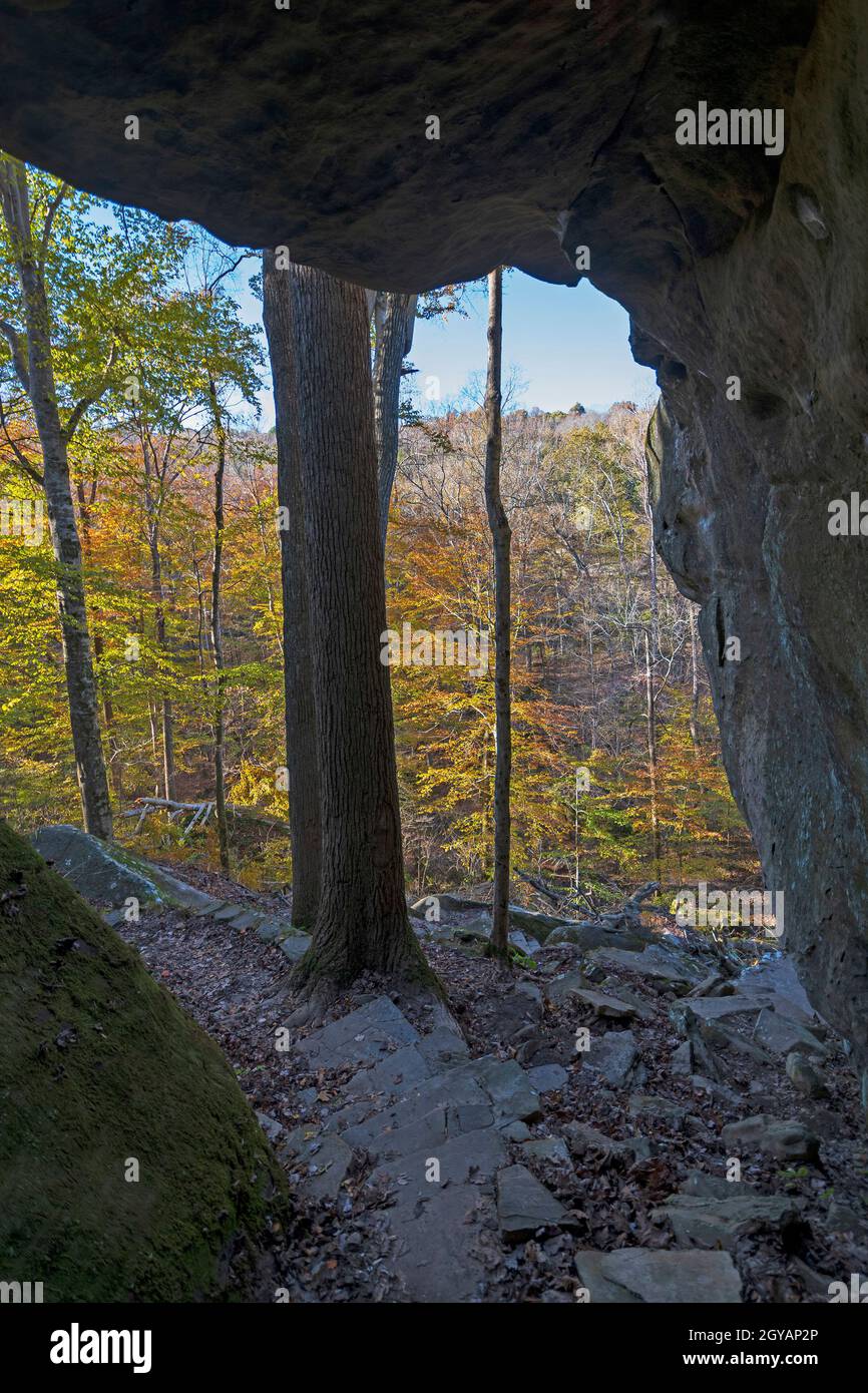 Coming Out into the Fall on a Secluded Trail on the Rim Rock National Trail in Southern Illinois Stock Photo