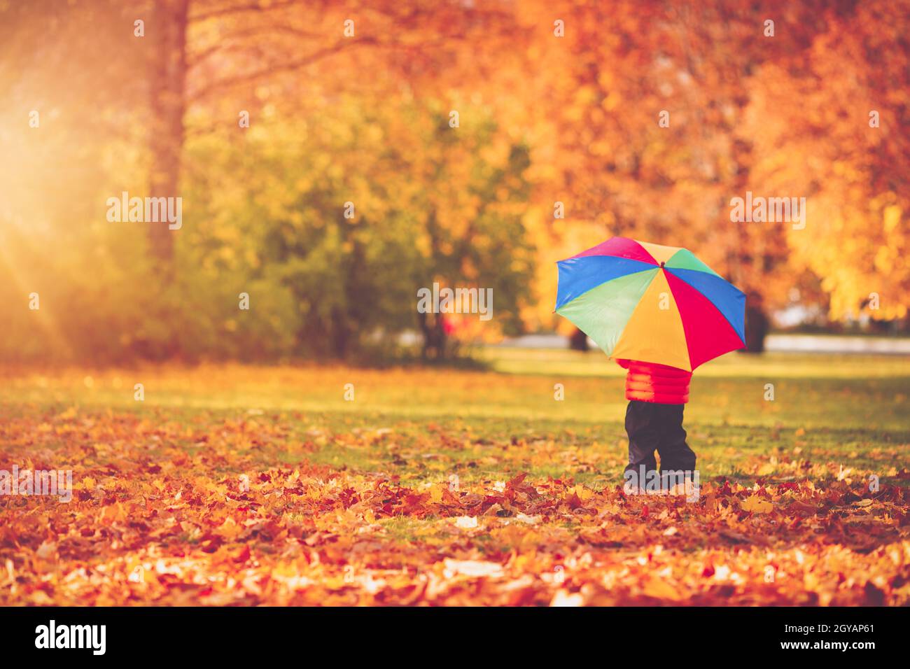 Child standing with umbrella in beautiful autumnal day. Boy playing outdoors in the park with yellow maple leaves falling down Stock Photo