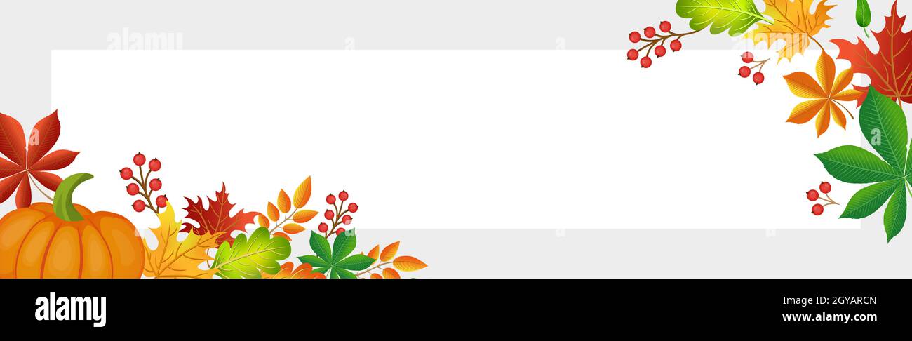 Realistic autumn foliage, white background with space for text - Vector ...