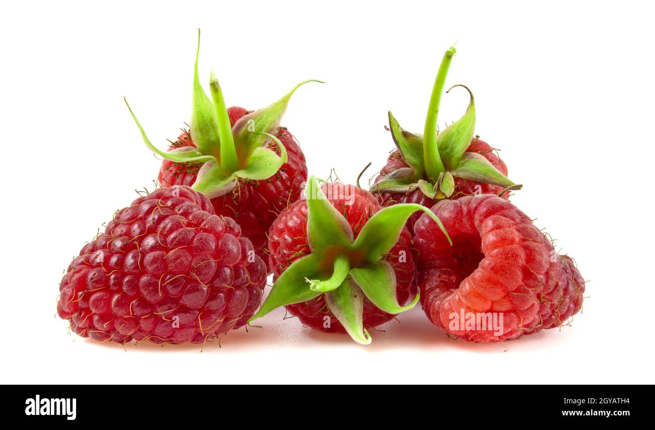 4 Raspberries Raspberries with peduncles, fresh and ripe, isolated on white ...