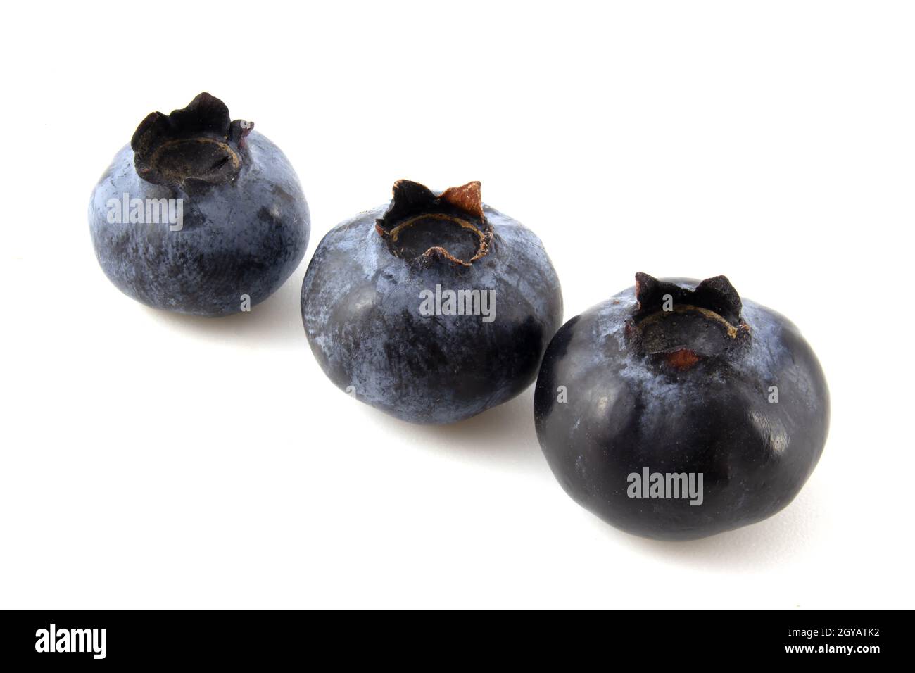 Three blueberries isolated on white background Stock Photo