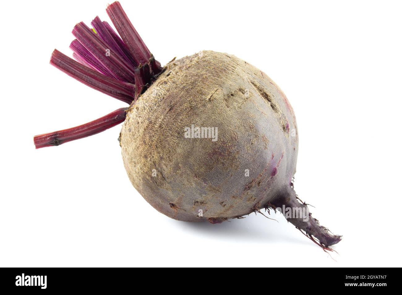 Fresh red beets isolated on white background close-up Stock Photo