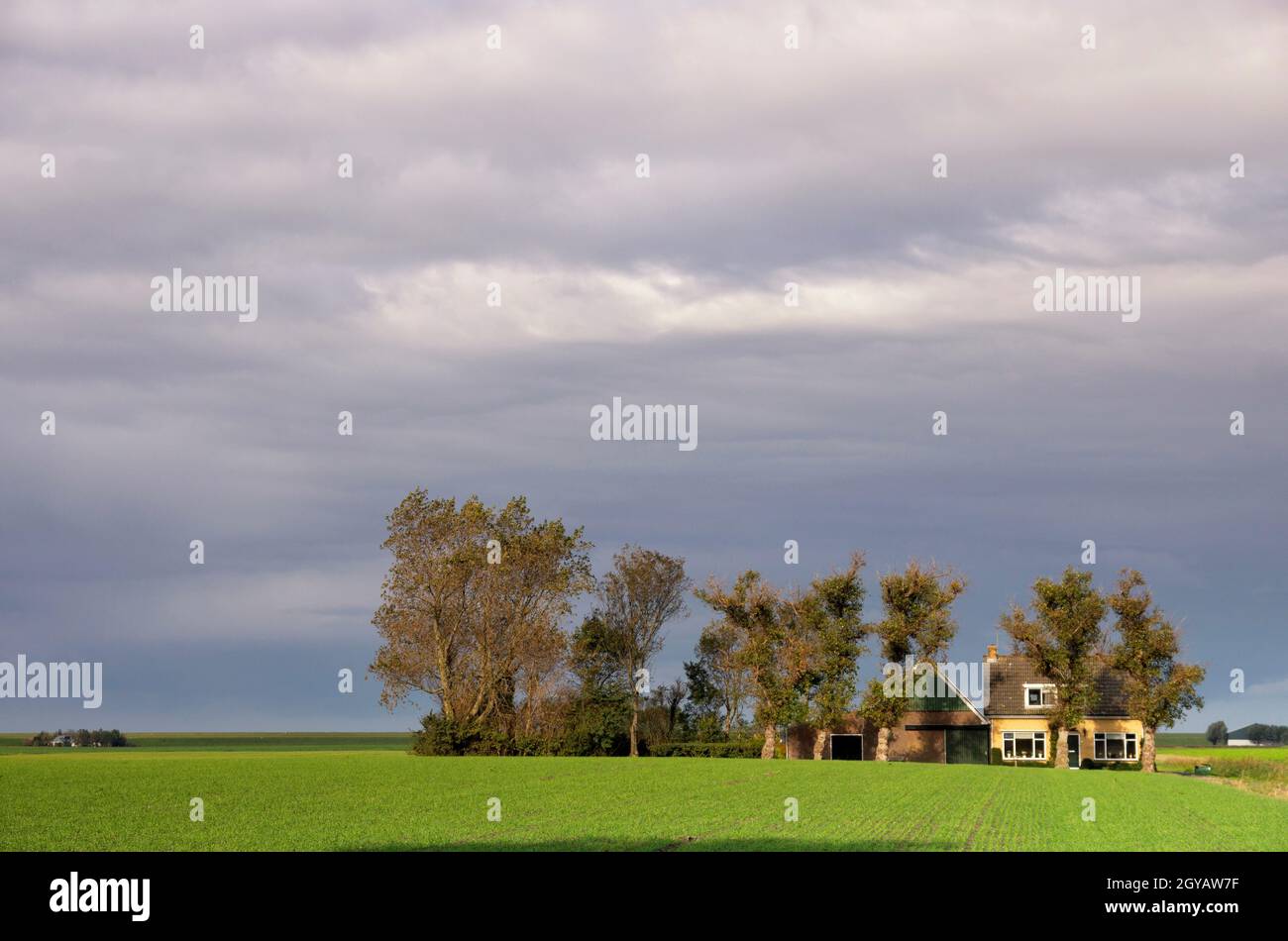 Farm buildings surrounded by trees under a heavy clouded sky close to Minnertsga in the Dutch province Friesland Stock Photo