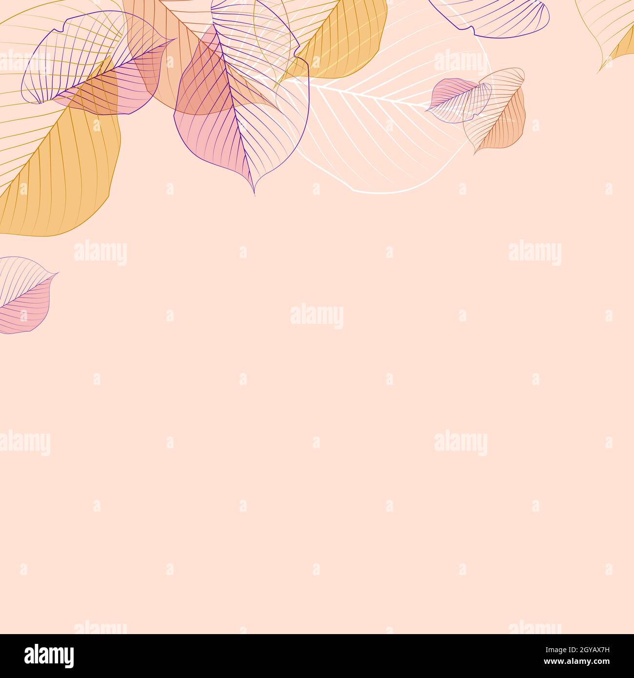 Realistic autumn leaves on a light background - Vector illustration ...