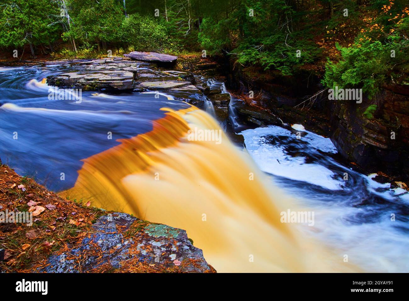 Running water in river leads to brown and gold waterfall with swirling pool at base in rocky are with pine needles and green forest Stock Photo