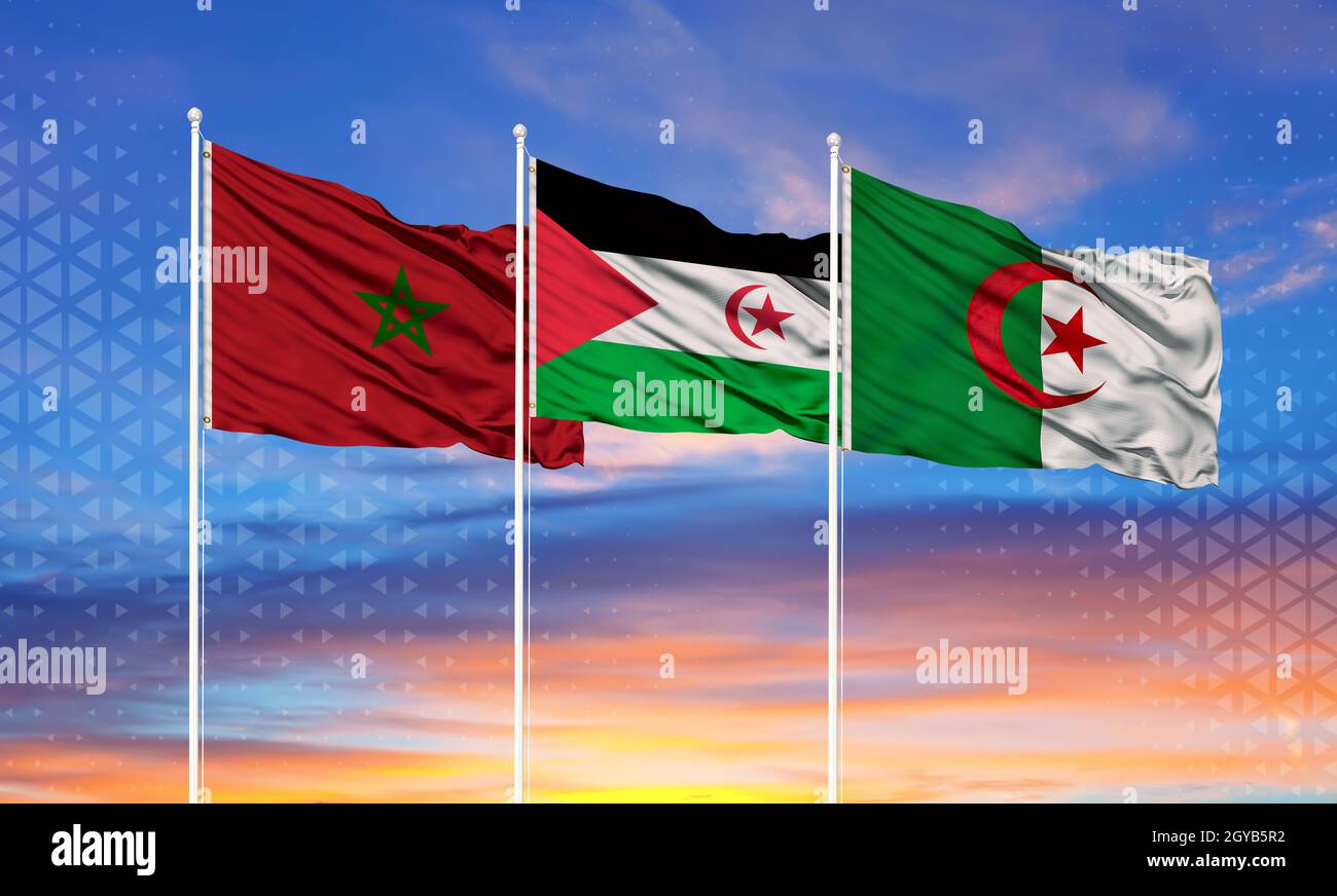 The flag of Morocco, Algeria and the Polisario. Moroccan Sahara conflict. Stock Photo