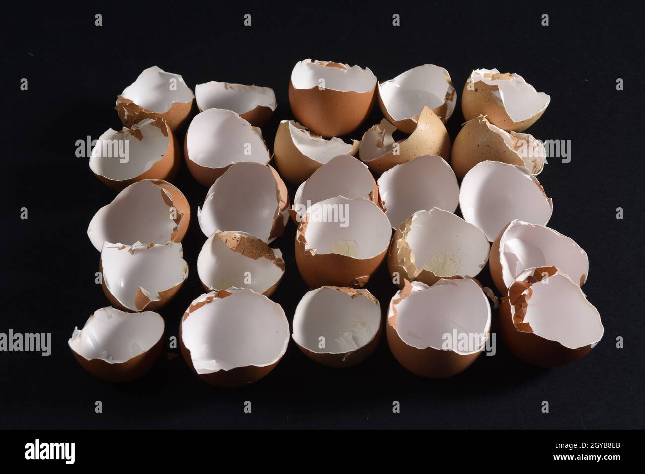 eggshells in row on black background Stock Photo