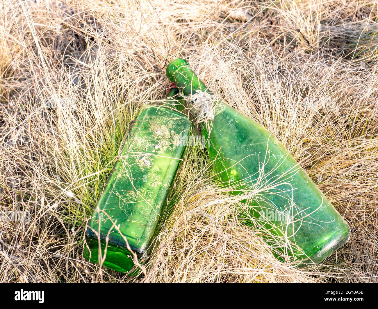 Empty alcohol bottles in the grass on nature. Tourism. Environment