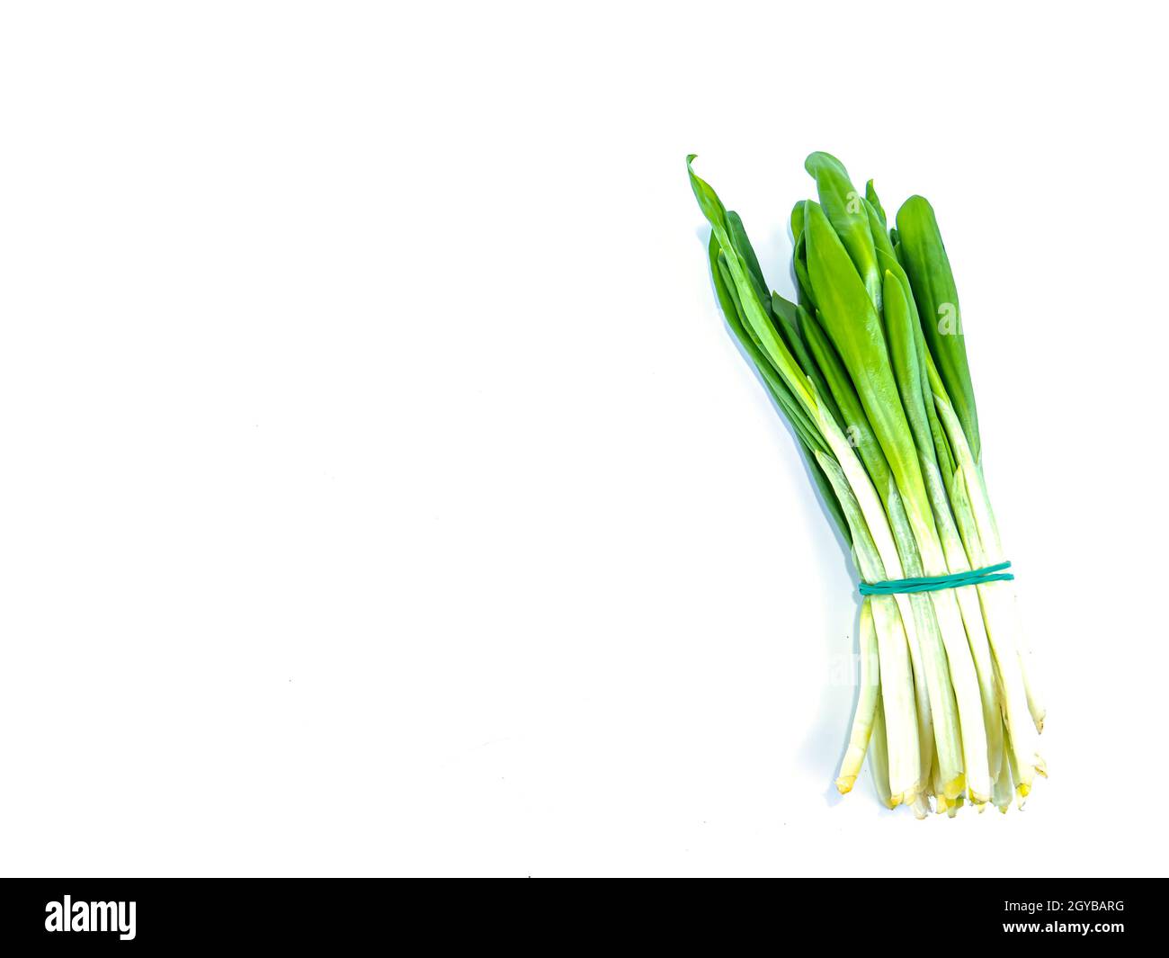 Spring wild garlic leaves on a white background. Place for text. Recipe. Vitamin. Place for text. Stock Photo