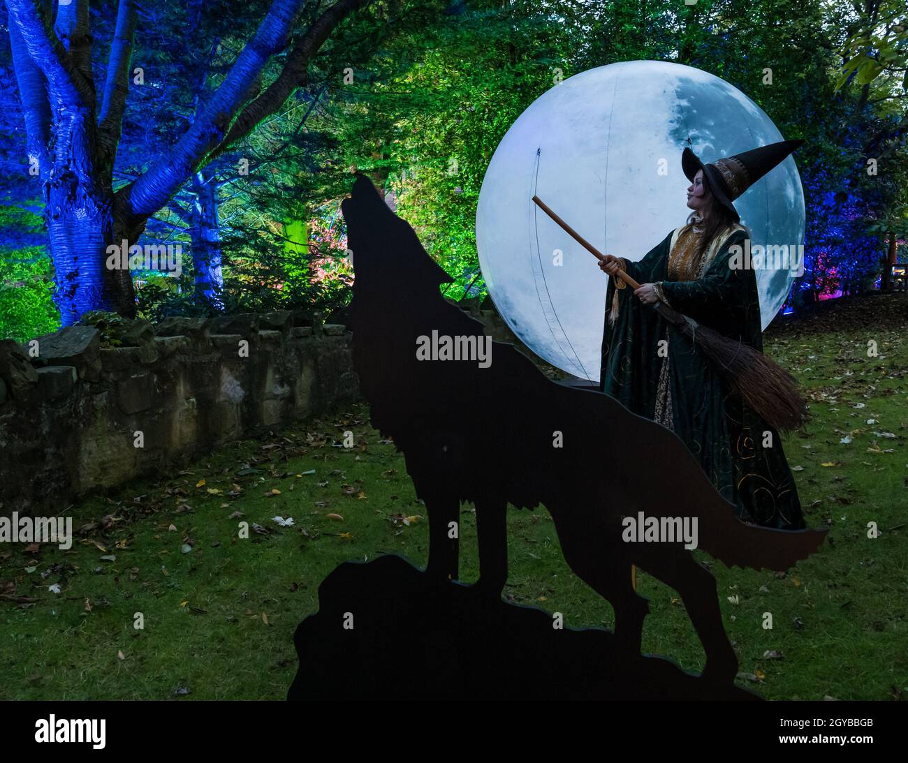 Wolf hat hi-res stock photography and images - Page 3 - Alamy