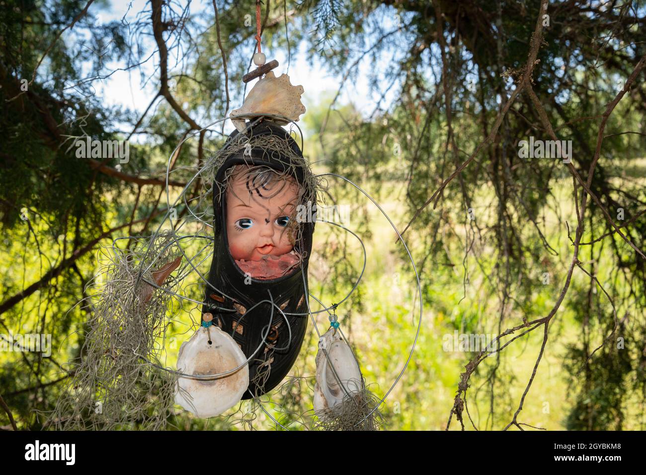 Scary Baby Doll In Tree Stock Photo
