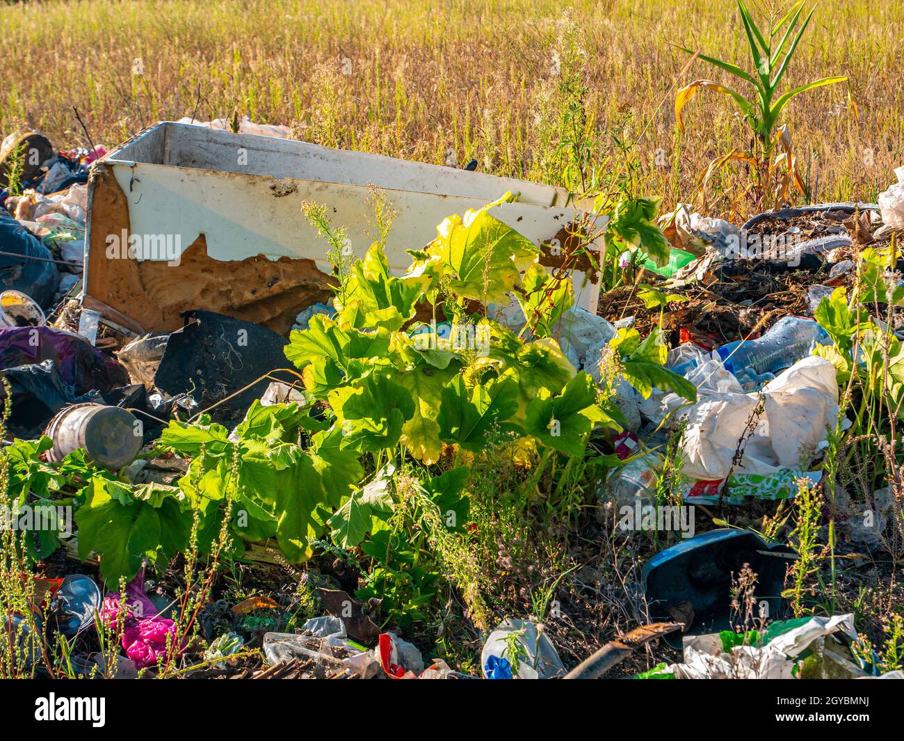 Unauthorized dumping of household waste in nature. Garbage dump. Human activities. Ecological catastrophy. Polyethylene and plastic waste. Environment Stock Photo