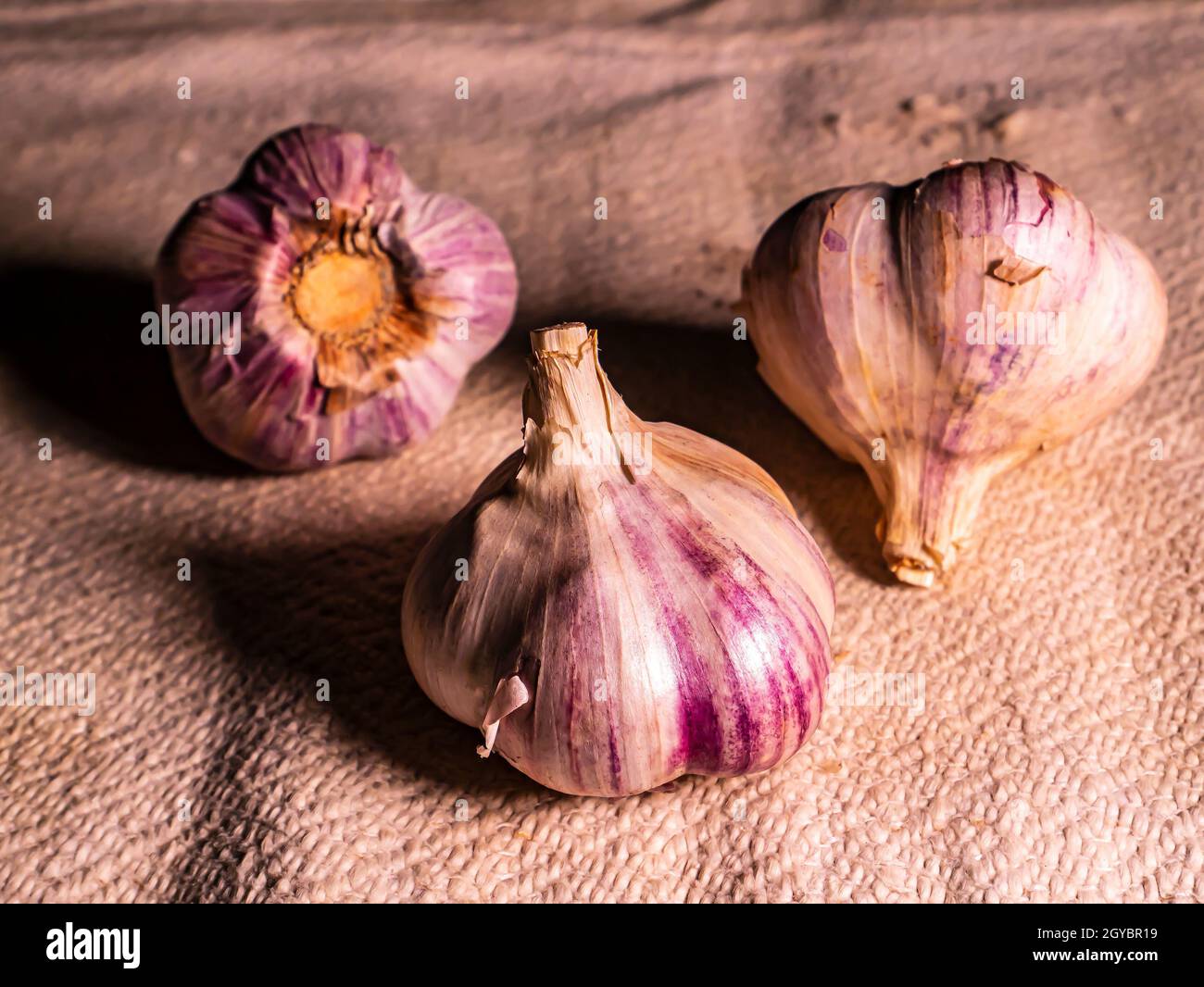 Spicy garlic vegetable on a black background. Harvest vegetables. Head