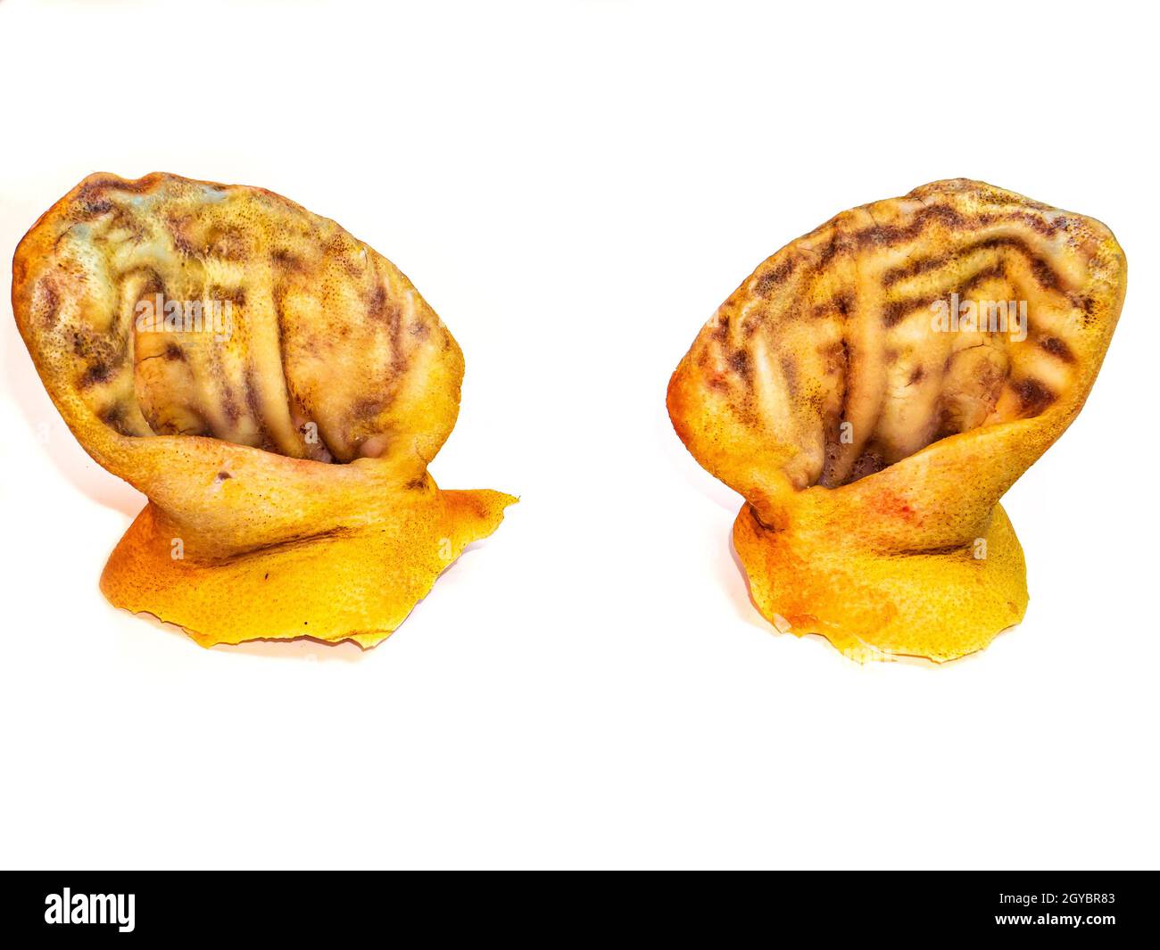 Meat pork ears on a white background. Pig ears. Pig hearing. Butcher