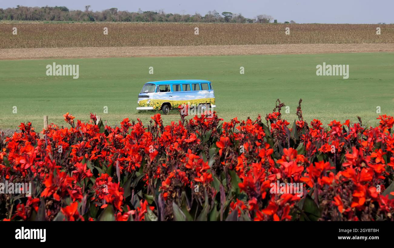 A volkswagen van decorated with images of sunflowers in an open field in a flower plantation in Holambra. Stock Photo