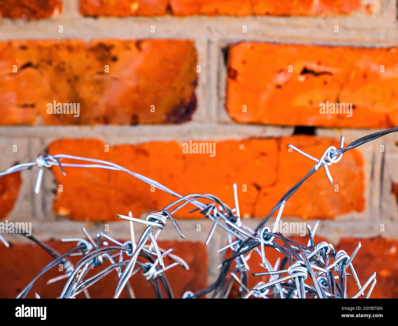 Barbed wire on a background of a red brick wall. Barbed wire. Brick ...