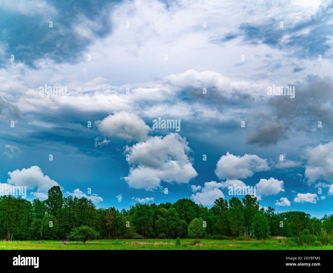 Thunderous sky with white clouds over green trees of deciduous forest. Cloudy horizon. Green meadow. White clouds. Thunder Sky. Weather forecast. Natu Stock Photo