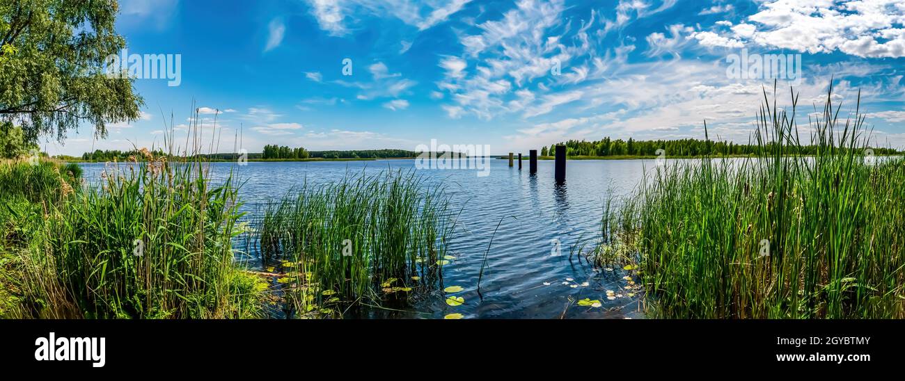Green bank of the dnieper river against the blue sky. Cloudy horizon. Dnepr River. Running water. Green grass. Deciduous trees. Coastline. Summer seas Stock Photo