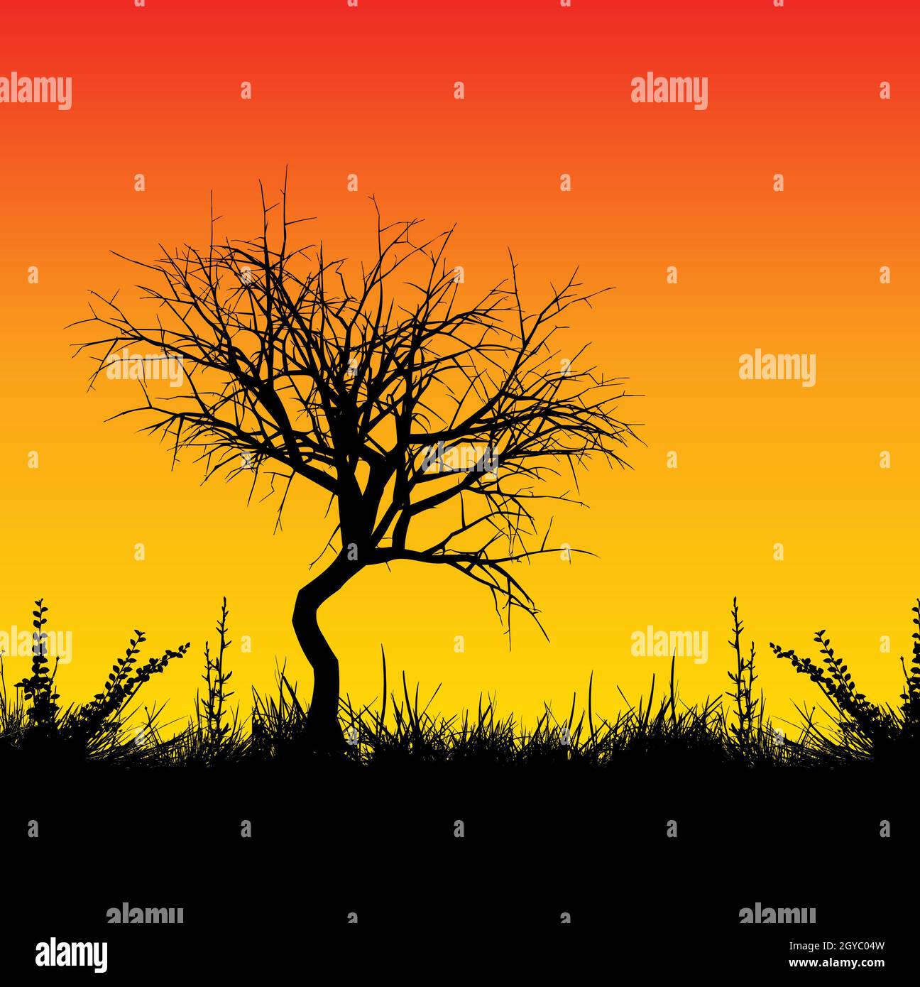 Silhouette of a tree against a sunset sky Stock Photo - Alamy