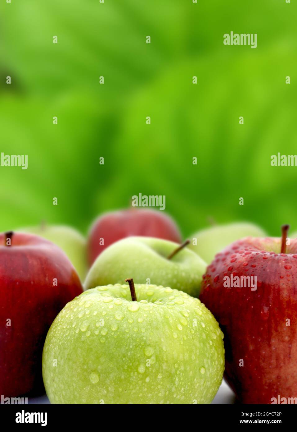 Red and green apples with water drops on green background Stock Photo ...