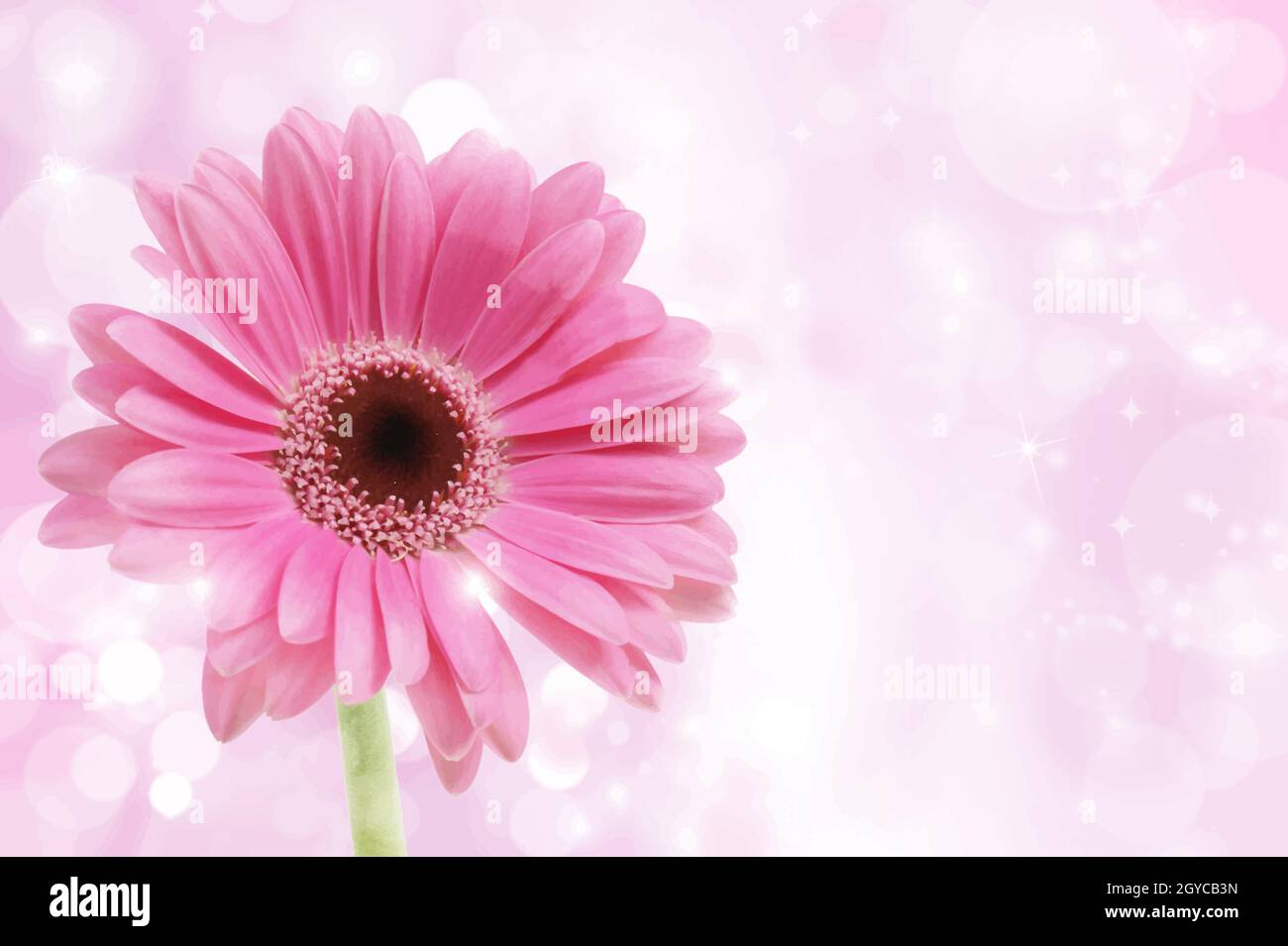 Detailed illustration of a pink Gerbera daisy on a sparkly background Stock Photo