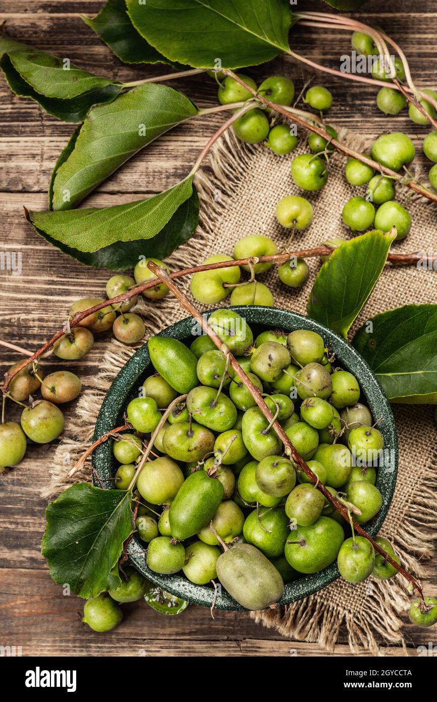 Harvest of ripe Actinidia arguta kiwi in a ceramic bowl. Branches of fresh kiwi fruits with green leaves, old wooden boards background, top view Stock Photo