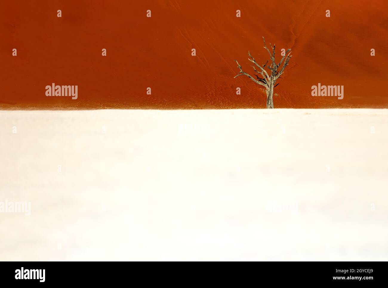 A lone dead tree, Deadvlei, Namibia Stock Photo