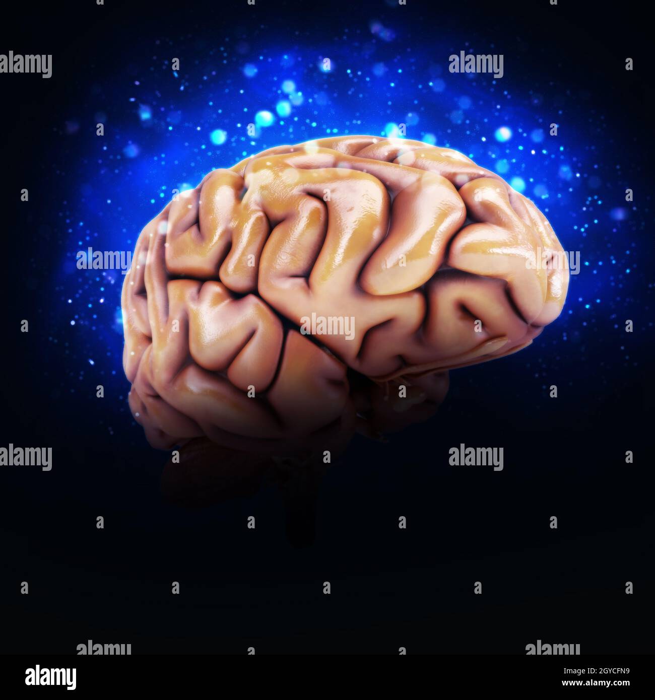 3D render of a human brain with light effects Stock Photo - Alamy